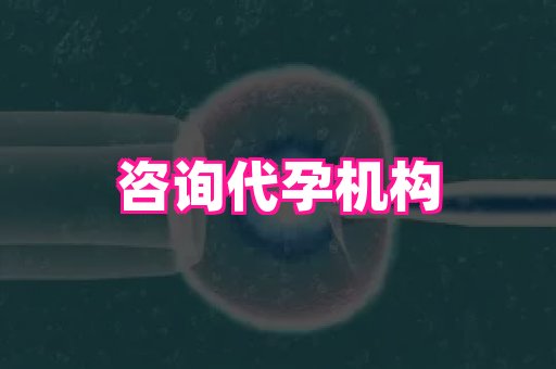 香港助孕网 3